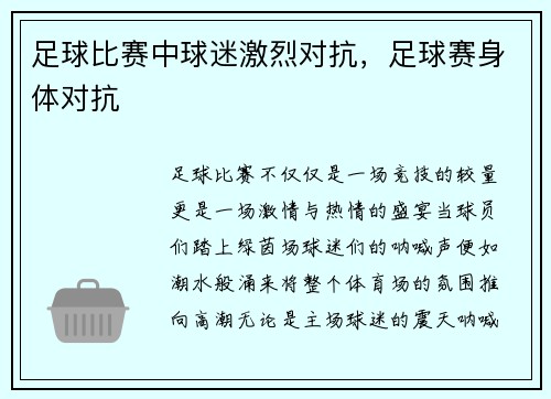 足球比赛中球迷激烈对抗，足球赛身体对抗