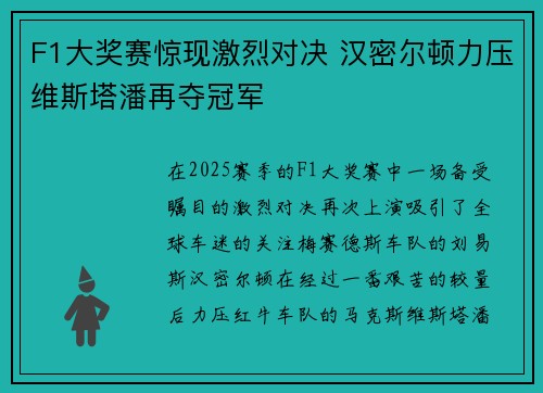 F1大奖赛惊现激烈对决 汉密尔顿力压维斯塔潘再夺冠军